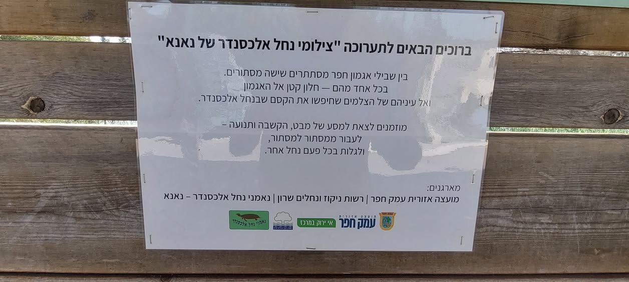 שקט באגמון חפר
